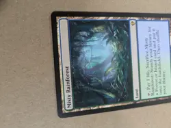 Misty Rainforest - Zendikar - MTG - LP - Image 3