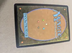 Misty Rainforest - Zendikar - MTG - LP - Image 5