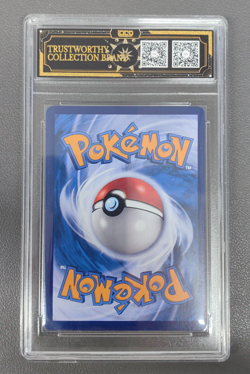 2024 Pokemon TCG S-Chinese Reshiram V #CS6aC 139/131 SR Super Rare Holo - Image 2