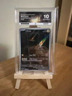 Blitzle 195/182 Illustration Rare Paradox Rift Pokemon TCG ACE 10 GEM MINT - Image 1