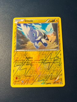 Pokemon TCG - Blitzle 35/101 Noble Victories Reverse Holo - NM - Image 1