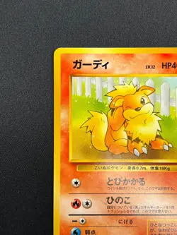 [LP] Growlithe Pokemon Card Japanese 058 Intro Pack Squirtle Deck Vintage 31J22 - Image 4