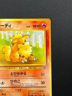 [LP] Growlithe Pokemon Card Japanese 058 Intro Pack Squirtle Deck Vintage 31J22 - Image 5