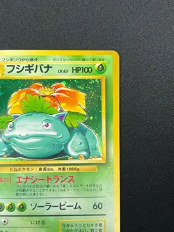 [NM] Venusaur Pokemon Card Japanese No.003 Base Basic Set Vintage Holo 31J18 - Image 5