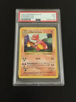 Pokemon TCG Charmeleon Base Set, Shadowless Uncommon PSA 5 - Image 1