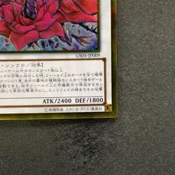 NM Black Rose Dragon GS05-JP009 Gold Secret Rare YuGiOh 480 - Image 5