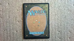 MTG Singles - Ashling, the Extinguisher - Eventide, Rare, 2008, 33/180 - Image 2