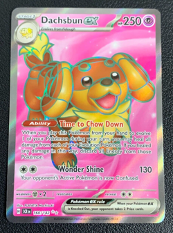 Dachsbun ex 160/142 Pokemon Stellar Crown Full Art Ultra Rare Pokemon Card NM - Image 1