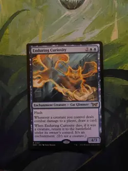 Enduring Curiosity - Magic: The Gathering MTG 0051 - Image 1