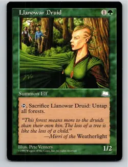 Magic the Gathering Llanowar Druid Weatherlight MTG Free Shipping! - Image 1