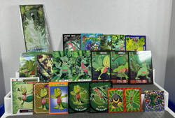 Pokemon Lot of Cards and Stickers Treecko #252 Treecko Lot of 20 CRIMP ERROR - Image 2