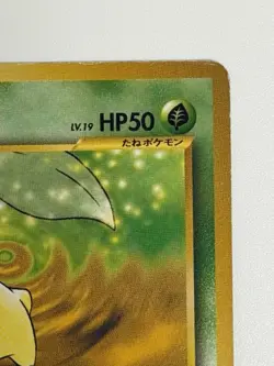 Chikorita No. 152 Neo Premium File Promo Japanese Pokemon Card From Japan - Image 3