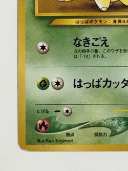 Chikorita No. 152 Neo Premium File Promo Japanese Pokemon Card From Japan - Image 4