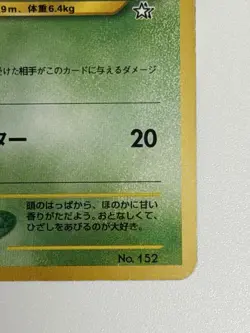 Chikorita No. 152 Neo Premium File Promo Japanese Pokemon Card From Japan - Image 5
