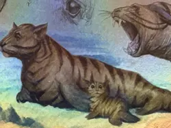 MTG Tiger-Seal FOIL TLA Avatar: The Last Airbender MTG R 0318 M/NM 1x - Image 2