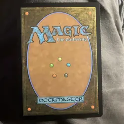 Wan Shi Tong, Librarian (Borderless) #320 (NM) TLA Magic MTG - Image 2