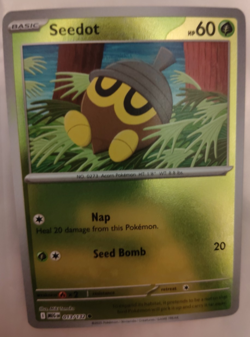 Seedot 013/132 Mega Evolution Reverse Holo Pokemon Card English - Image 1