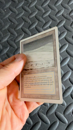 MAGIC: THE GATHERING REVISED TUNDRA LP/MP (see pics) - Image 2