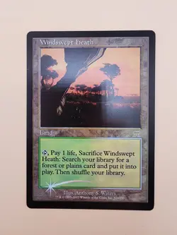 1x Windswept Heath - Foil Light Play MTG Magic - - Image 2