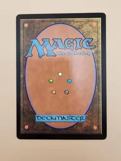 1x Windswept Heath - Foil Light Play MTG Magic - - Image 3