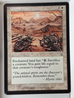 Animal Boneyard - Odyssey - Magic the Gathering MTG Nice! - Image 1