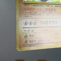 MP-) Aerodactyl No.142 Fossil Pokemon Card Holo Japanese p637-2211 - Image 5