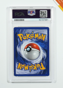 Pokemon PSA 9 Charmeleon #24 1st Edition Base Set 2000 Italiano - Image 2