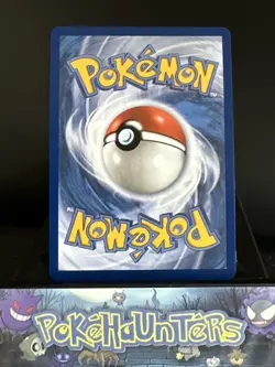Pokemon Card Helioptile 143/132 Mega evolution Illustration Rare Near Mint - Image 2