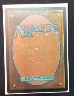 Delighted Halfling NM MTG The Lord of the Rings Set Regular Non-foil - Image 2