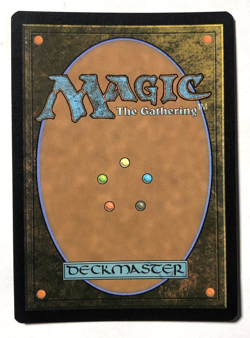 Plains FULL ART FOIL 292 Avatar the Last Airbender MTG Magic the Gathering NM - Image 2