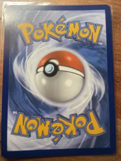 Pokemon TCG Steelix 208/182 Paradox Rift Illustration Rare Card NM/M Condition - Image 2