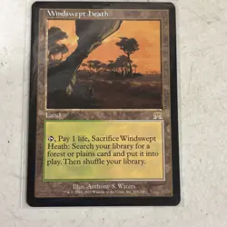 MTG Windswept Heath (328/350) Regular Onslaught English Magic Card - NM - Image 1