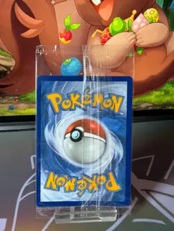 Greninja Gold Star - SWSH144 - Celebrations Black Star Promo - Pokemon Sealed - Image 2