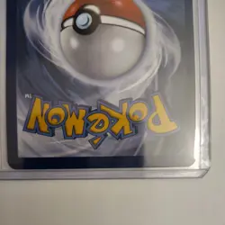 Pokemon TCG Noctowl 141 Black Star Promo Pokemon Stellar Crown Holo NM ETB FRESH - Image 5
