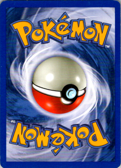 Aipom 41/64 Neo Revelation 1st Edition WOTC Vintage Pokemon TCG Card - Image 2
