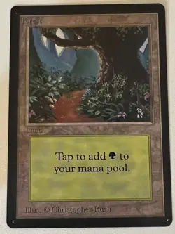 Magic the Gathering MTG Forest v.1 (Path) BETA Beta NM (Beta Bob) - Image 1