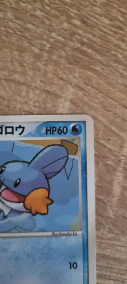 Mudkip 003/009 PokePark Green Forest File Promo Pokemon Card | Japanese | MP - Image 3