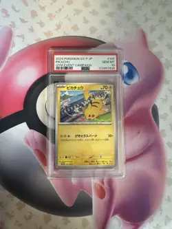 Pokemon TCG Japanese Pikachu Promo Gym Event Campaign 197/SV-P PSA 10 - Image 1
