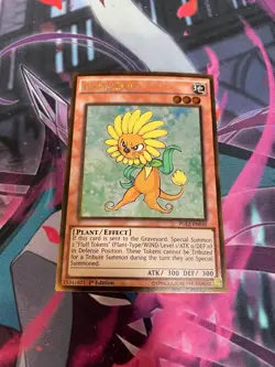 YUGIOH - DANDYLION - PGL2 - GOLD RARE - NM - 1ST ED - Image 1