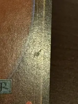 Plateau Revised MTG Magic The Gathering LP Never Played - Image 5