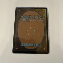 Paradise Mantle - 142 - NM - Fifth Dawn (5DN) - MTG - Image 2