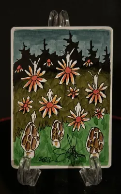 MTG Argothian Pixies Amy Weber Signed and Painted Artist Proof AP - Image 2