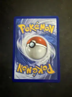 Pokemon TCG Piplup 98/94 Phantasmal Flames Illustration Rare Mega Evolution NM - Image 2