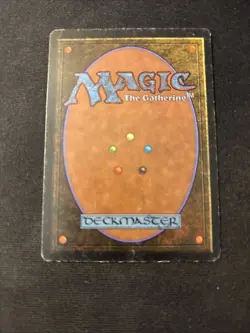 Llanowar Elves Limited Edition - Beta Mtg MP1 - Image 2