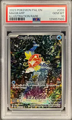 PSA 10 - MAGIKARP - 203/193 - PALDEA EVOLVED EN-PAL IR FULL ART ENGLISH POKEMON - Image 1