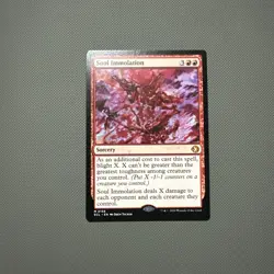 Soul Immolation Regular. Mtg Lorwyn Eclipsed - Image 1