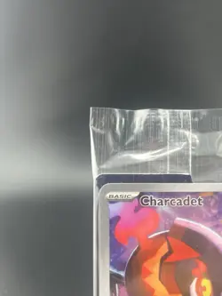 Charcadet Sealed Promo Pokemon Center Stamped - Image 2