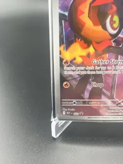 Charcadet Sealed Promo Pokemon Center Stamped - Image 5