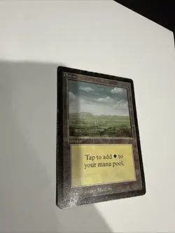 Magic The Gathering Beta Single Card Basic Land Plains (A) [Heavily Played] - Image 2