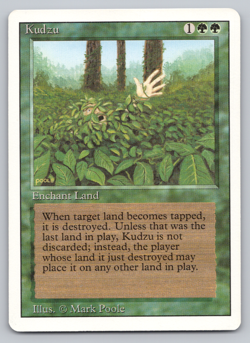 Kudzu LP - Revised 1994 3rd Edition- MTG - Image 1